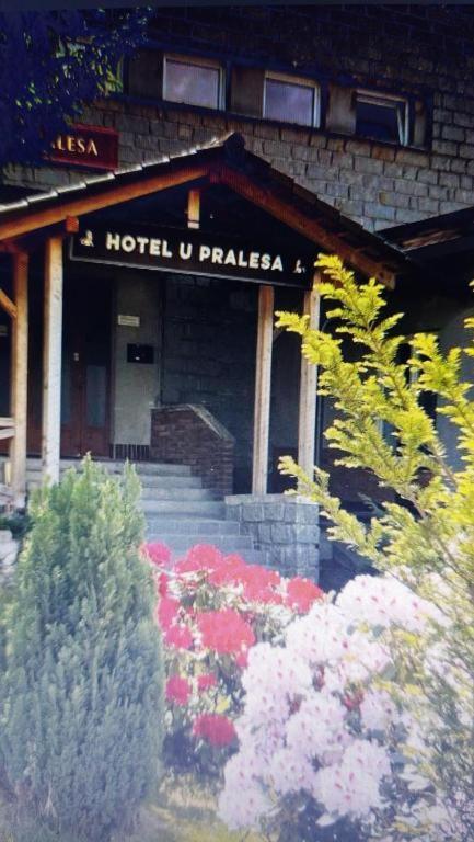 Ferienwohnung Kopretina Cerne Udoli Exterior foto