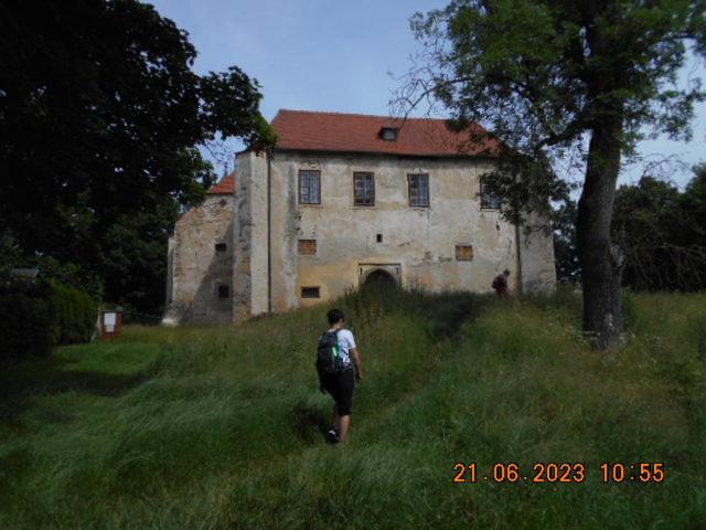 Ferienwohnung Kopretina Cerne Udoli Exterior foto